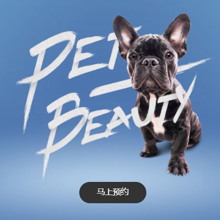 聂拉木宠物中心小程序开发