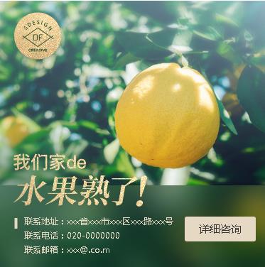 聂拉木果园果林小程序开发